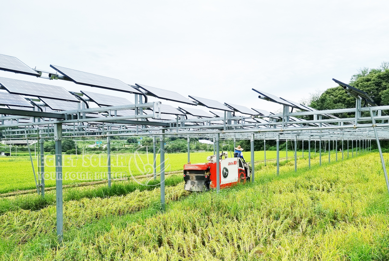 Aluminium Solar Agriculture Montering driver bæredygtig landbrugsudvikling