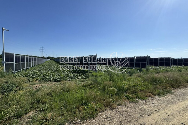 Nærmer sig Egret lodret landbrugskraftproduktion